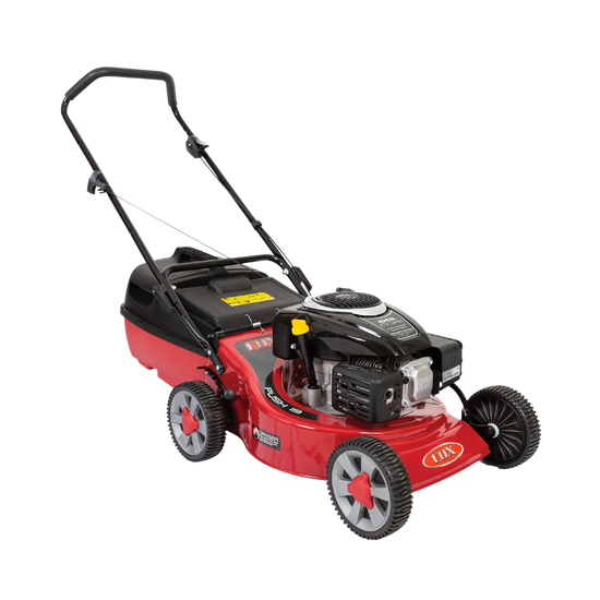 CP19S1.png